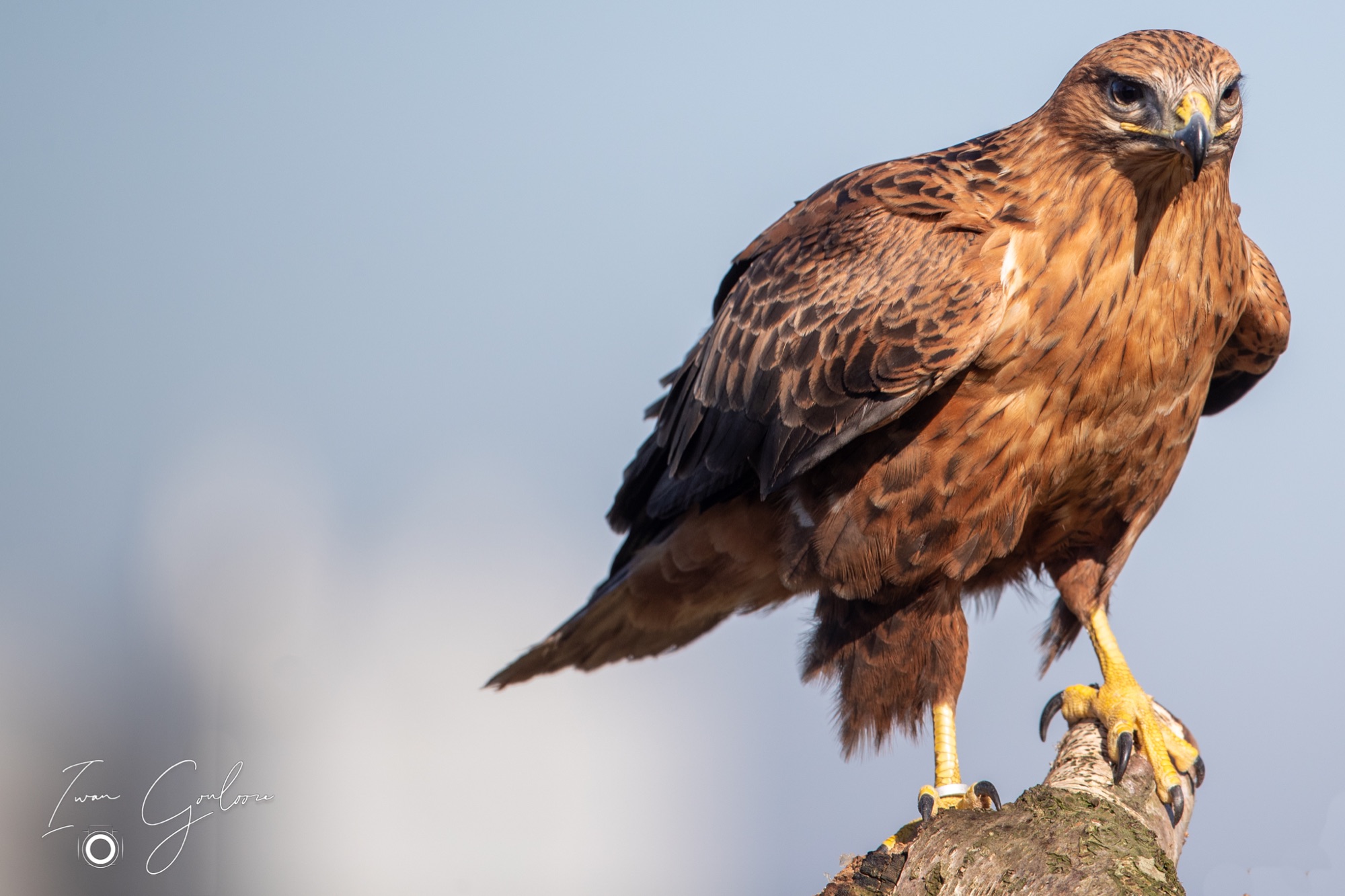 04 maart 2022 145659 1DX43770